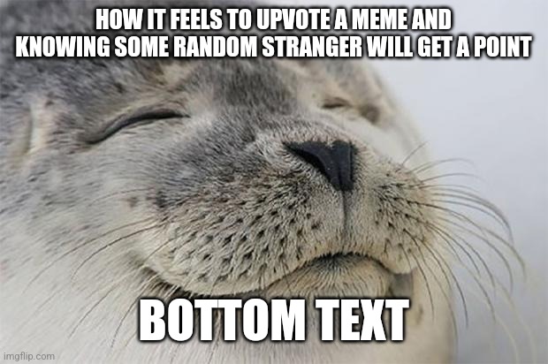 Satisfied Seal Meme | HOW IT FEELS TO UPVOTE A MEME AND KNOWING SOME RANDOM STRANGER WILL GET A POINT; BOTTOM TEXT | image tagged in memes,satisfied seal | made w/ Imgflip meme maker