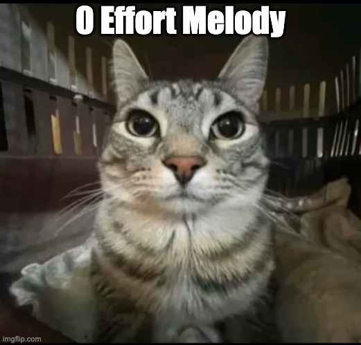 0 Effort Melody | 0 Effort Melody | image tagged in cat,melody,effortless | made w/ Imgflip meme maker