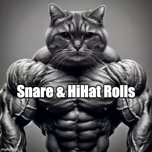 Snare & HiHat Rolls | Snare & HiHat Rolls | image tagged in snare,hihat,rolls,cat,muscular | made w/ Imgflip meme maker