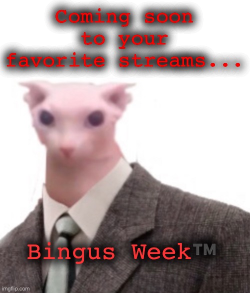 bingus | Coming soon to your favorite streams... Bingus Week™️ | image tagged in bingus | made w/ Imgflip meme maker