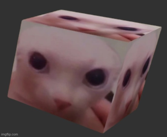 Bingus Cube | image tagged in bingus cube | made w/ Imgflip meme maker