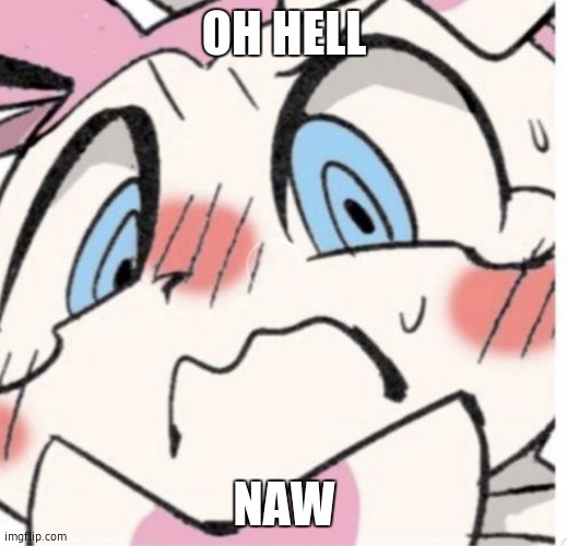 Sylveon Blushing | OH HELL NAW | image tagged in sylveon blushing | made w/ Imgflip meme maker