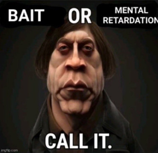 @justarandomandika | image tagged in bait or mental retardation | made w/ Imgflip meme maker