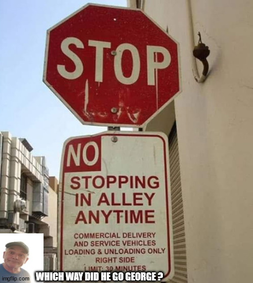 No Stopping | WHICH WAY DID HE GO GEORGE ? | image tagged in durlearl | made w/ Imgflip meme maker