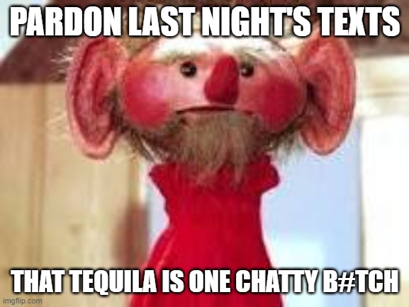 Scrawl | PARDON LAST NIGHT'S TEXTS; THAT TEQUILA IS ONE CHATTY B#TCH | image tagged in scrawl | made w/ Imgflip meme maker