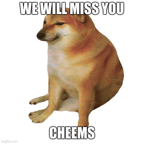 cheems | WE WILL MISS YOU CHEEMS | image tagged in cheems | made w/ Imgflip meme maker