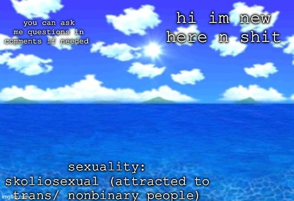 SM64 BOB skybox | you can ask me questions in comments if needed; hi im new here n shit; sexuality: skoliosexual (attracted to trans/ nonbinary people) | image tagged in sm64 bob skybox | made w/ Imgflip meme maker