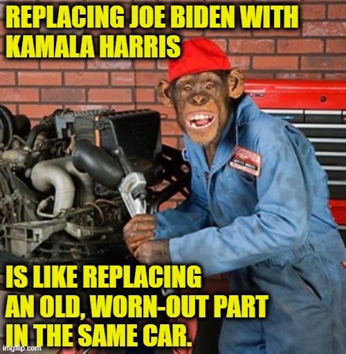 Interchangeable parts | REPLACING JOE BIDEN WITH
KAMALA HARRIS; IS LIKE REPLACING
AN OLD, WORN-OUT PART 
IN THE SAME CAR. | image tagged in kamala harris | made w/ Imgflip meme maker