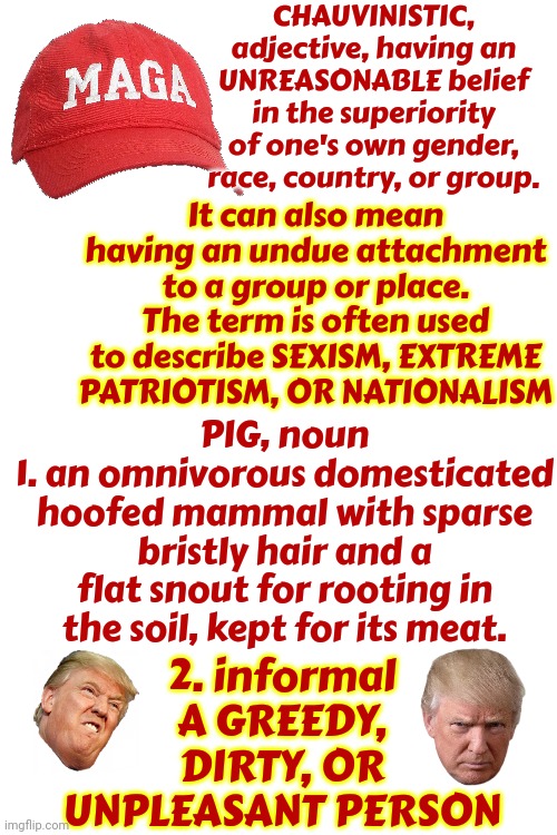 Trump And Maga, By Definition, Are Chauvinistic Pigs | CHAUVINISTIC, adjective, having an UNREASONABLE belief in the superiority of one's own gender, race, country, or group. It can also mean having an undue attachment to a group or place. The term is often used to describe SEXISM, EXTREME PATRIOTISM, OR NATIONALISM; PIG, noun
1. an omnivorous domesticated hoofed mammal with sparse bristly hair and a flat snout for rooting in the soil, kept for its meat. 2. informal
A GREEDY, DIRTY, OR UNPLEASANT PERSON | image tagged in chauvinistic pigs,maga,donald trump is a convicted rapist,chauvinistic,pigs,memes | made w/ Imgflip meme maker