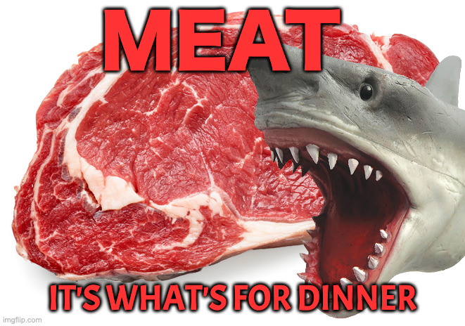 MMMMMMMEAT | MEAT IT'S WHAT'S FOR DINNER | image tagged in meat raw | made w/ Imgflip meme maker