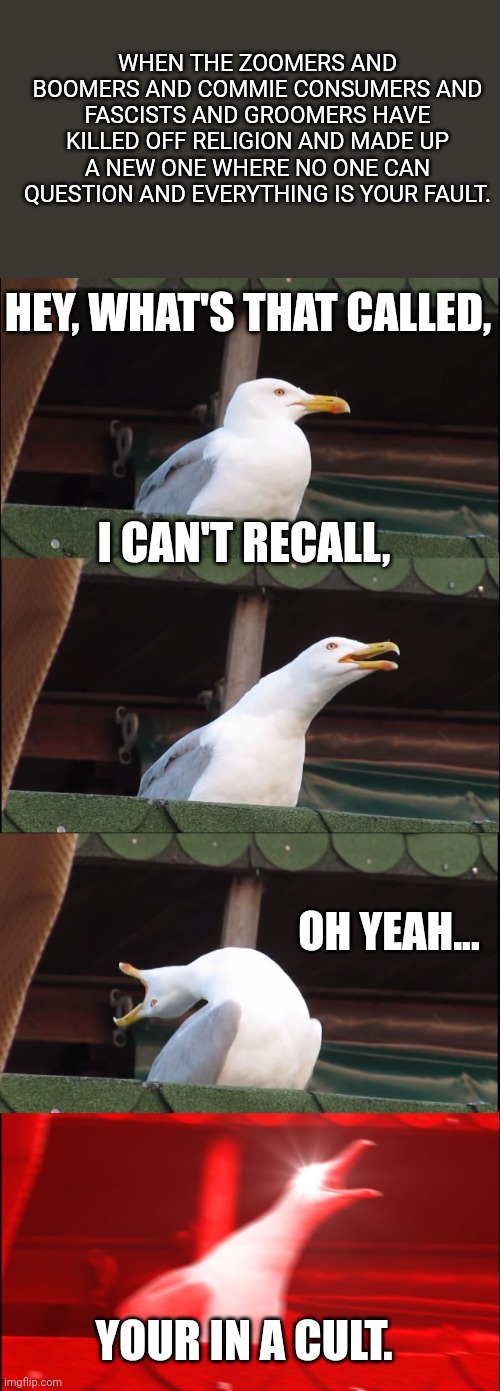 Inhaling Seagull Meme | WHEN THE ZOOMERS AND BOOMERS AND COMMIE CONSUMERS AND FASCISTS AND GROOMERS HAVE KILLED OFF RELIGION AND MADE UP A NEW ONE WHERE NO ONE CAN QUESTION AND EVERYTHING IS YOUR FAULT. HEY, WHAT'S THAT CALLED, I CAN'T RECALL, OH YEAH... YOUR IN A CULT. | image tagged in memes,inhaling seagull,starset,music,political meme,cult | made w/ Imgflip meme maker