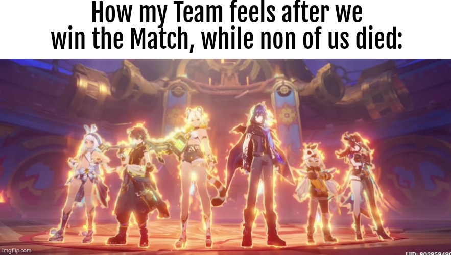 It's like we are unstoppable. | How my Team feels after we win the Match, while non of us died: | image tagged in online gaming,died,team | made w/ Imgflip meme maker