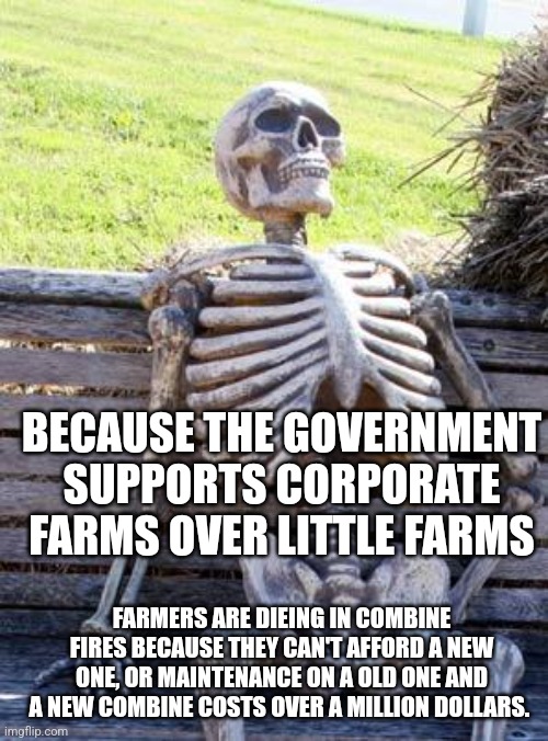 Waiting Skeleton | BECAUSE THE GOVERNMENT SUPPORTS CORPORATE FARMS OVER LITTLE FARMS; FARMERS ARE DIEING IN COMBINE FIRES BECAUSE THEY CAN'T AFFORD A NEW ONE, OR MAINTENANCE ON A OLD ONE AND A NEW COMBINE COSTS OVER A MILLION DOLLARS. | image tagged in memes,waiting skeleton | made w/ Imgflip meme maker