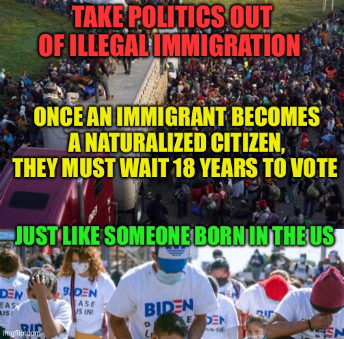 Take politics out of immigration | TAKE POLITICS OUT OF ILLEGAL IMMIGRATION; ONCE AN IMMIGRANT BECOMES A NATURALIZED CITIZEN, THEY MUST WAIT 18 YEARS TO VOTE; JUST LIKE SOMEONE BORN IN THE US | image tagged in gifs,democrats,illegal immigration,politics,voter fraud | made w/ Imgflip meme maker