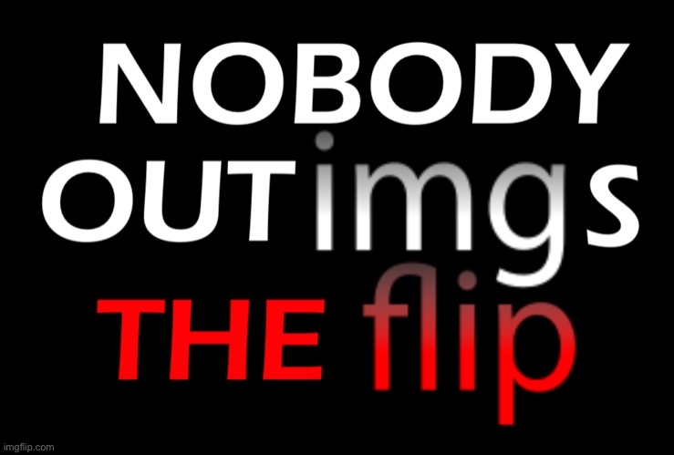 NOBODY OUTIMGS THE FLIP | image tagged in nobody outimgs the flip | made w/ Imgflip meme maker