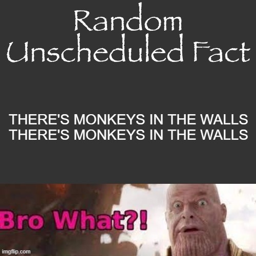 Random Unscheduled Fact | THERE'S MONKEYS IN THE WALLS
THERE'S MONKEYS IN THE WALLS | image tagged in random unscheduled fact | made w/ Imgflip meme maker