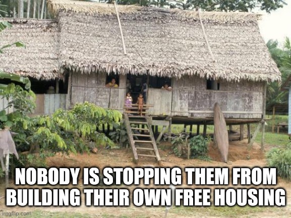 NOBODY IS STOPPING THEM FROM BUILDING THEIR OWN FREE HOUSING | made w/ Imgflip meme maker