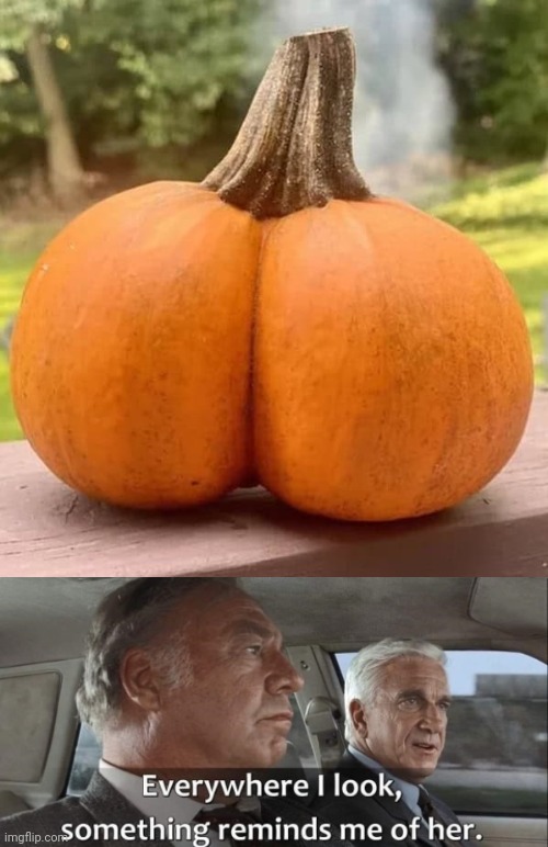 image tagged in everywhere i look,pumpkin,booty | made w/ Imgflip meme maker