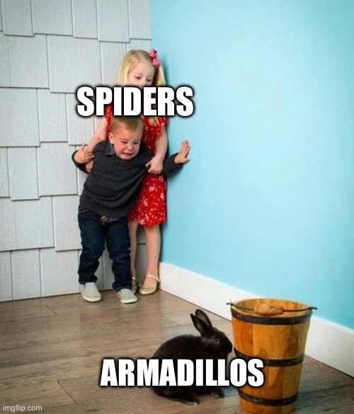 POV: Spiders in Minecraft | SPIDERS; ARMADILLOS | image tagged in children scared of rabbit | made w/ Imgflip meme maker