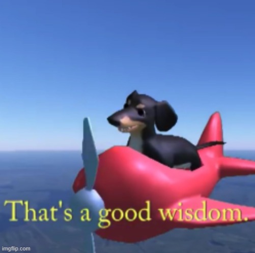 that's a good wisdom | image tagged in that's a good wisdom | made w/ Imgflip meme maker