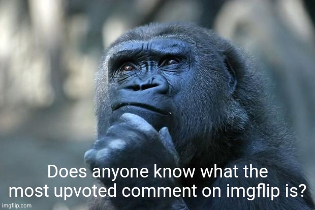 Anyone know? | Does anyone know what the most upvoted comment on imgflip is? | image tagged in deep thoughts,upvote,comment,curious | made w/ Imgflip meme maker