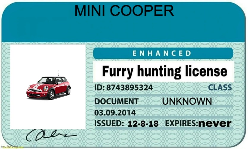 AYO LIL COOPER HUNTIN' FURRIES | MINI COOPER; UNKNOWN | image tagged in furry hunting license | made w/ Imgflip meme maker