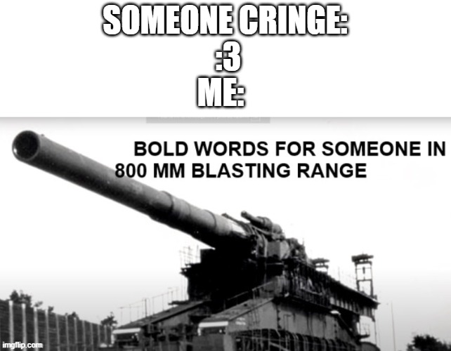 BOLD WORDS FOR SOMEONE IN 800mm BLASTING RANGE | SOMEONE CRINGE:
 :3 ME: | image tagged in bold words for someone in 800mm blasting range | made w/ Imgflip meme maker