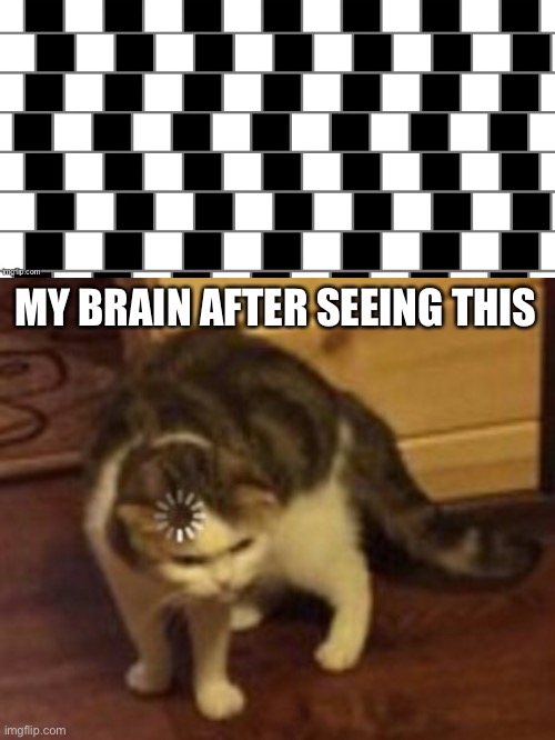 MY BRAIN AFTER SEEING THIS | image tagged in loading cat | made w/ Imgflip meme maker