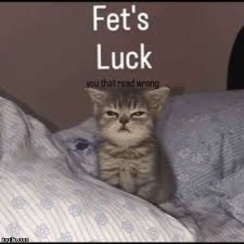 Did you read this wrong? | image tagged in cat fet's luck | made w/ Imgflip meme maker