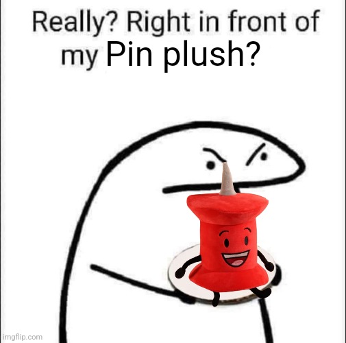 BFDI thingy i made | Pin plush? | image tagged in really right in front of my pancit | made w/ Imgflip meme maker