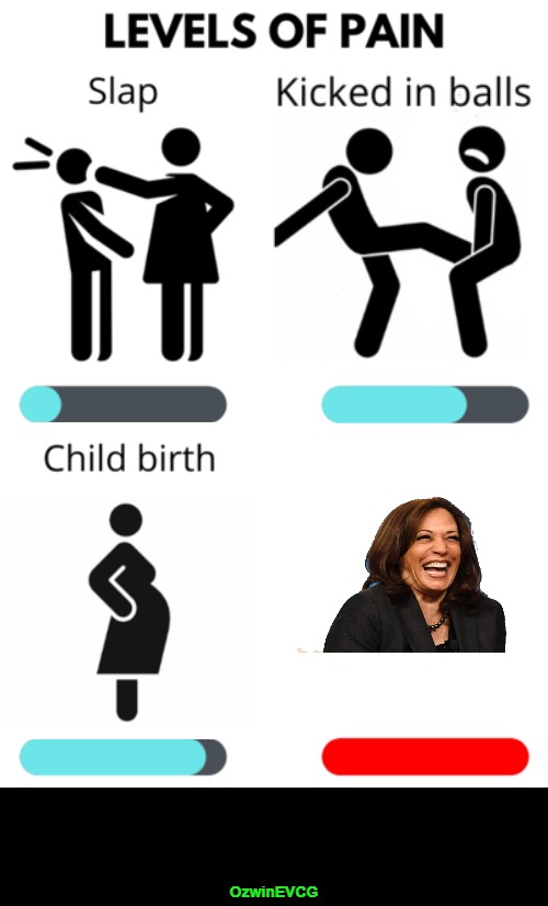 "Like OMG Calls -and- Interviews? Kamala's So Ready to Be President!" | OzwinEVCG | image tagged in levels of pain fixed version,kamala harris,comrade kneepads,democratic party,shills,liberal logic | made w/ Imgflip meme maker