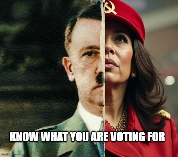 KNOW WHAT YOU ARE VOTING FOR | made w/ Imgflip meme maker