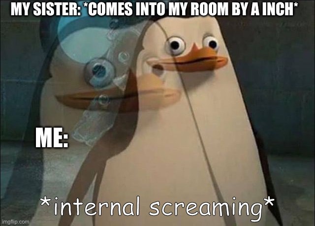 This happens every time. It’s like a spider sense | MY SISTER: *COMES INTO MY ROOM BY A INCH*; ME: | image tagged in private internal screaming | made w/ Imgflip meme maker