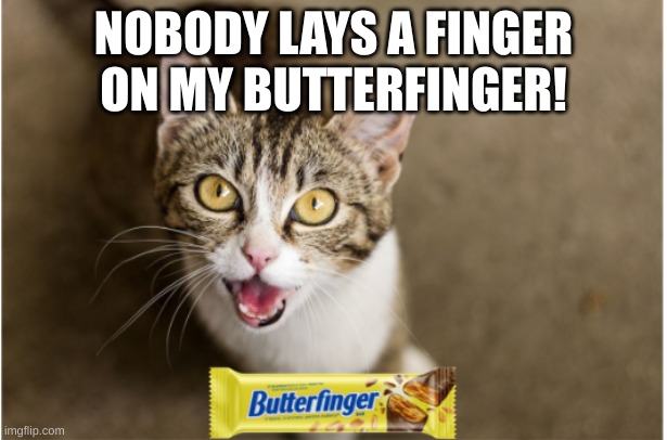 NOBODY LAYS A FINGER ON MY BUTTERFINGER! | image tagged in fun,candy | made w/ Imgflip meme maker