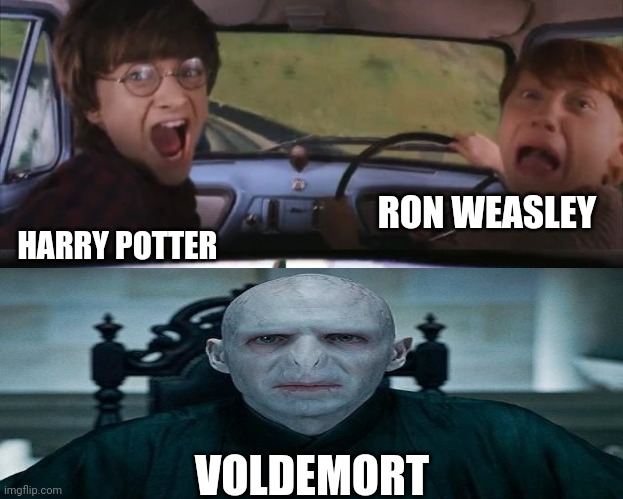 I hate Voldemort | RON WEASLEY; HARRY POTTER; VOLDEMORT | image tagged in tom chasing harry and ron weasly | made w/ Imgflip meme maker