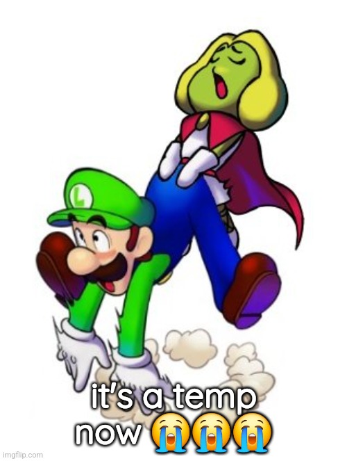 Mario and Luigi: Backshots | it's a temp now 😭😭😭 | image tagged in mario and luigi backshots | made w/ Imgflip meme maker