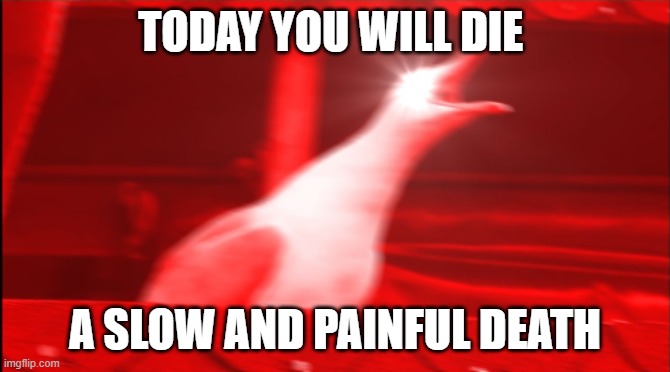 screaming bird | TODAY YOU WILL DIE A SLOW AND PAINFUL DEATH | image tagged in screaming bird | made w/ Imgflip meme maker