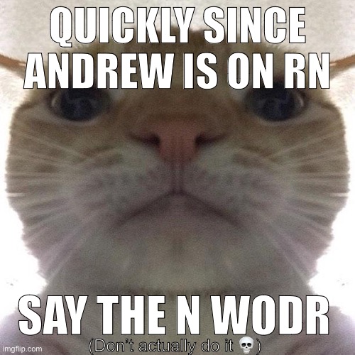 Mischievous | QUICKLY SINCE ANDREW IS ON RN; SAY THE N WODR; (Don’t actually do it 💀) | image tagged in staring cat/gusic | made w/ Imgflip meme maker