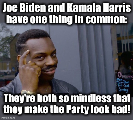 Roll Safe Think About It Meme | Joe Biden and Kamala Harris
have one thing in common: They're both so mindless that
they make the Party look bad! | image tagged in memes,roll safe think about it | made w/ Imgflip meme maker