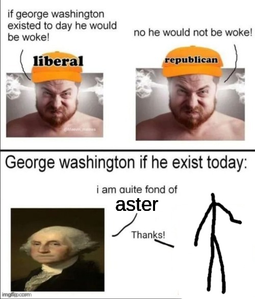 Aster the headless stickman type shit | aster | image tagged in george washington if he existed today | made w/ Imgflip meme maker
