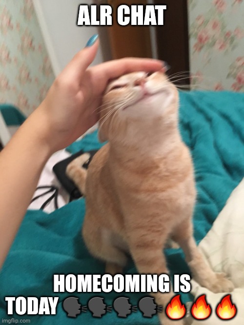 WOOOOOOOOO- | ALR CHAT; HOMECOMING IS TODAY 🗣🗣🗣🗣🔥🔥🔥 | image tagged in cat pat | made w/ Imgflip meme maker