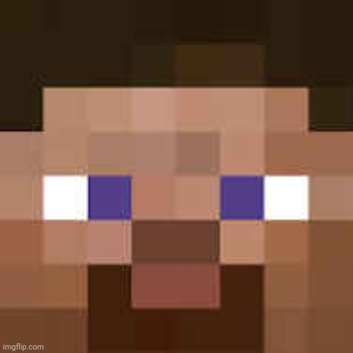 Steve Face | image tagged in steve face | made w/ Imgflip meme maker