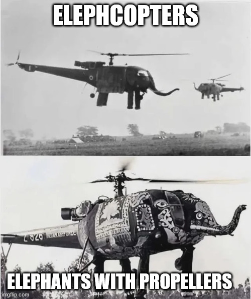 Elephcopters | ELEPHCOPTERS; ELEPHANTS WITH PROPELLERS | image tagged in elephant,helicopter | made w/ Imgflip meme maker