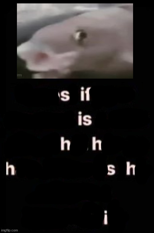 image tagged in repost if it has hate | made w/ Imgflip meme maker