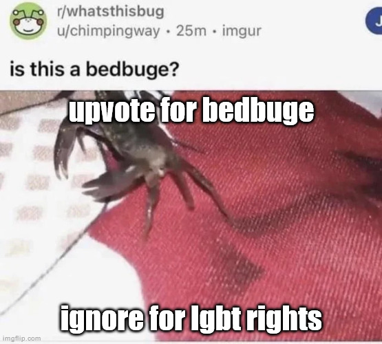 bedbuge | upvote for bedbuge; ignore for lgbt rights | image tagged in bedbuge | made w/ Imgflip meme maker