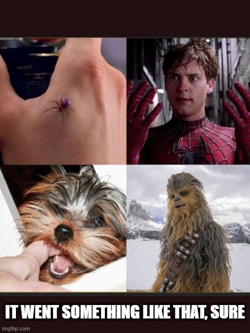 Chewy, My Hero | IT WENT SOMETHING LIKE THAT, SURE | image tagged in chewbacca | made w/ Imgflip meme maker