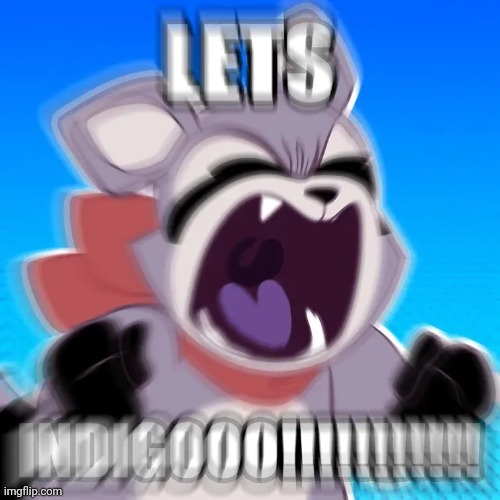 LET'S INDIGOOO!!!!!!!!!!!! | image tagged in let's indigooo | made w/ Imgflip meme maker