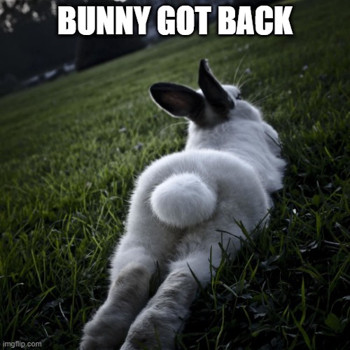 Bunny Butt | BUNNY GOT BACK | image tagged in bunnies | made w/ Imgflip meme maker