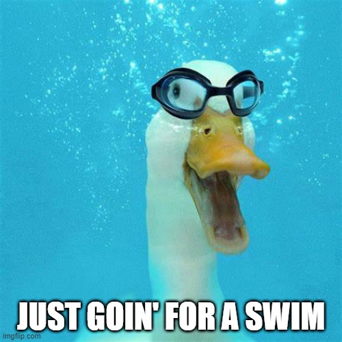 Swimming Duck | JUST GOIN' FOR A SWIM | image tagged in ducks | made w/ Imgflip meme maker