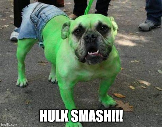 The Incredible Hulk Dog | HULK SMASH!!! | image tagged in dogs | made w/ Imgflip meme maker